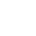 Zopilotes